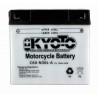 BATTERIE Y60-N30L-A 12V 30Ah 300A / 53030