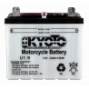 BATTERIE MOTO 12V 24Ah U1-9 / 713330
