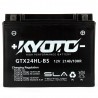 BATTERIE MOTO YTX24HL-BS 12V 22Ah